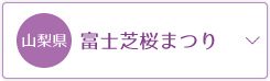 富士芝桜まつり