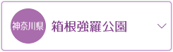 箱根強羅公園