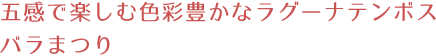 五感で楽しむ色彩豊かなラグーナテンボスバラまつり