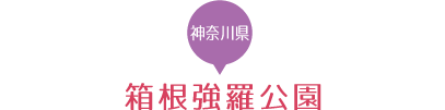 箱根強羅公園