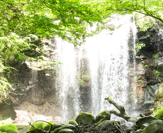 那須高原 乙女の滝
