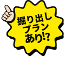 掘り出しプランあり