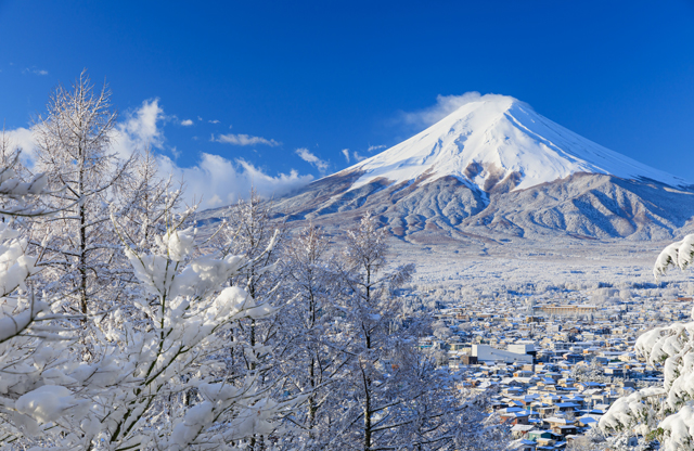 富士河口湖温泉×富士山